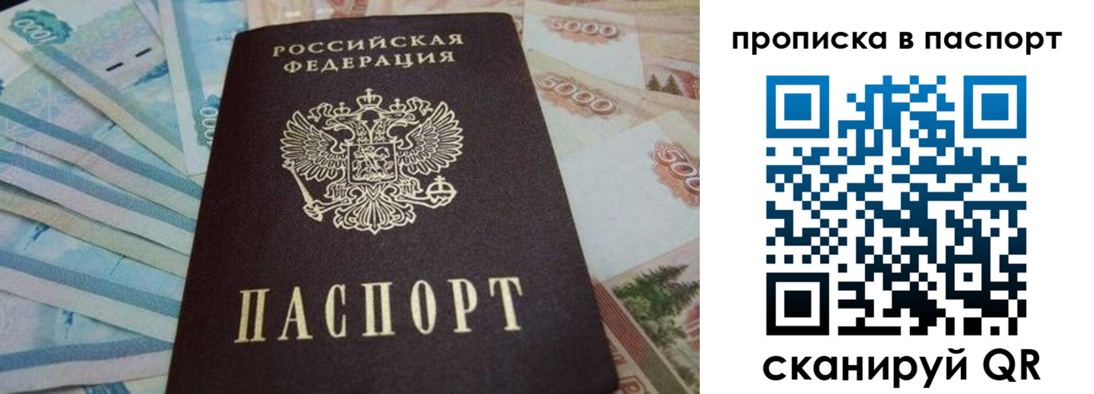 временная регистрация законно в Бийске